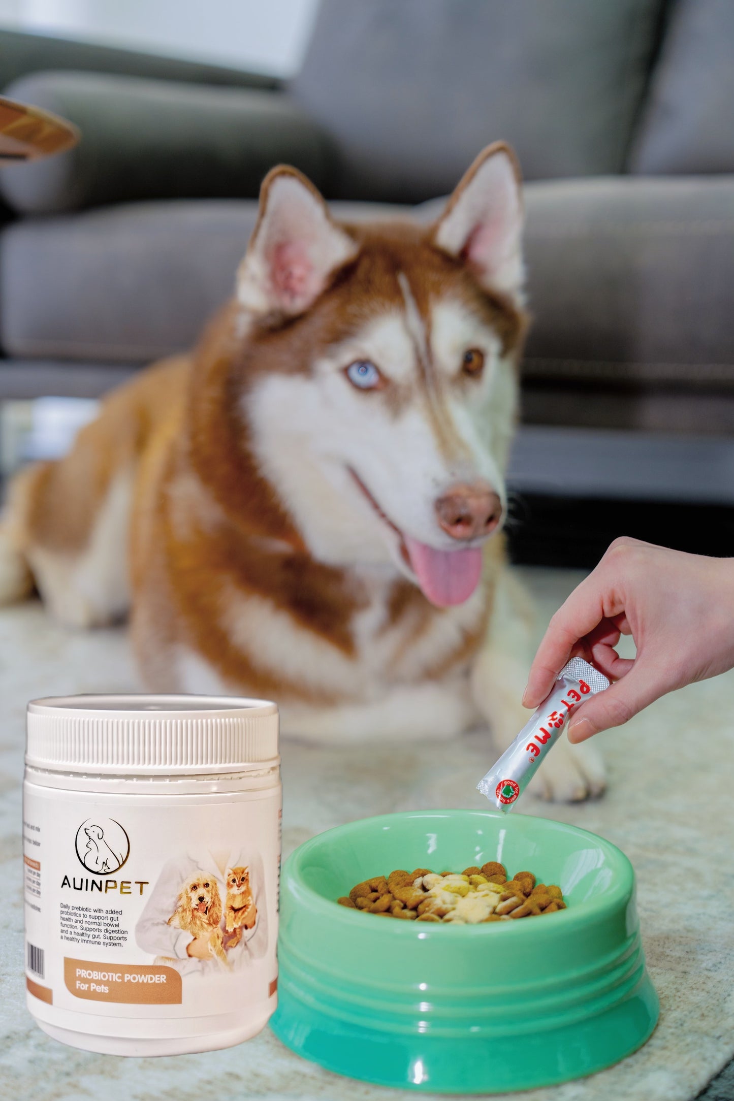 PROBIOTIC POWDER For Pets