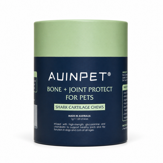 Bone + Joint Protect for Pets - Shark Cartilage Chews